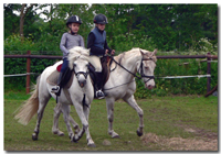 2 Kinder beim Reiten