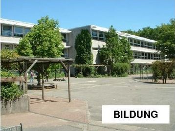 Bildung