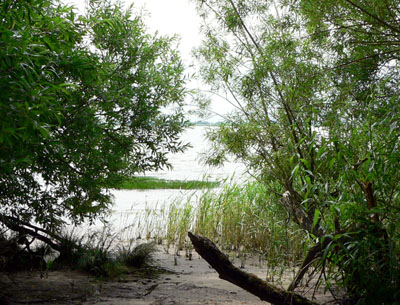 Bucht im Bielenberger Wäldchen